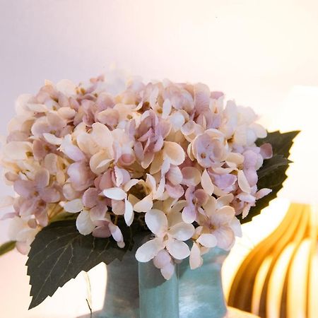Pouso Primavera チラデンテス エクステリア 写真